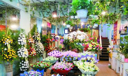 爱花居品牌连锁花店 爱花居品牌连锁花店